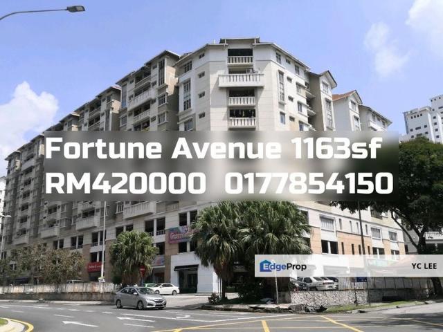 Fortune Avenue