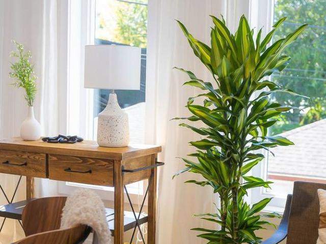 For Lease 12 Batavia Avenue Unit# Unit 3, Toronto, Ontario