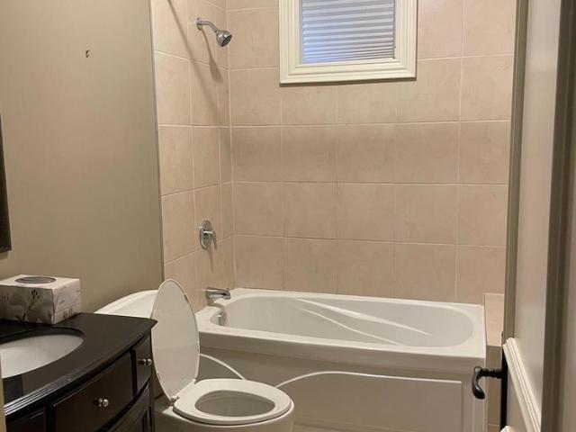 For Lease 135 Florence Avenue Unit# basement, Toronto, Ontario