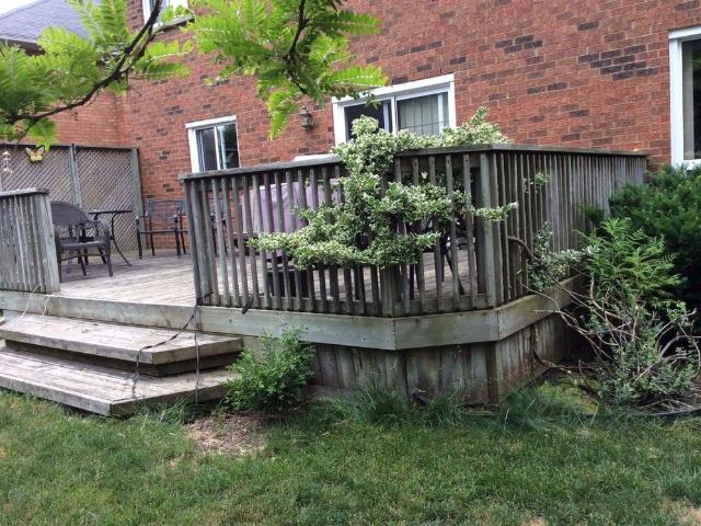 For Lease 1515 Stationmaster Lane, Oakville, Ontario