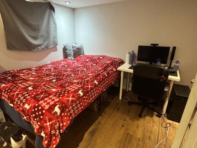 For Lease 166 Erindale Avenue Unit# Bsmnt, Hamilton, Ontario