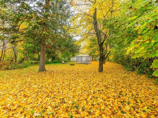 For Lease 173 Maple Avenue Unit# RM 1, Richmond Hill, Ontario