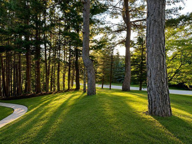 For Lease 18 Loggers Trail Unit# 1A, Whitchurch Stouffville, Ontario