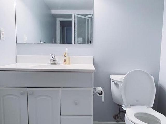 For Lease 19 Danube Drive Unit# Bsmt, Toronto, Ontario