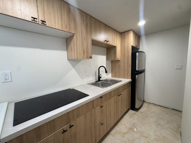 For Lease 209 Ridge Road Unit# Unit B Basement, Caledon, Ontario