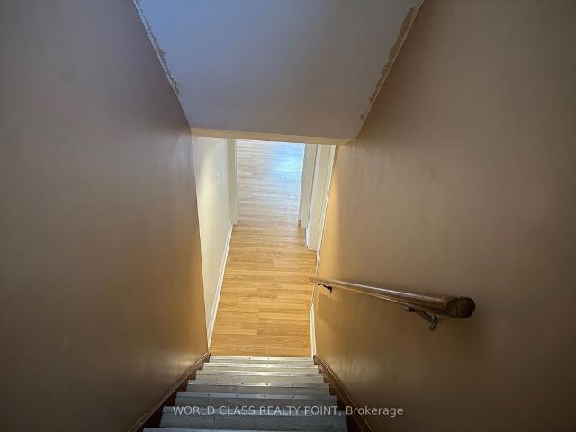 For Lease 20 Murchison Crescent, Toronto, Ontario