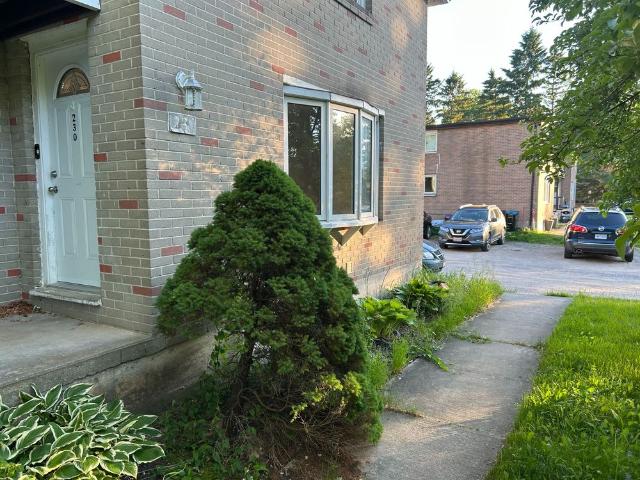 For Lease 230 Cindy Lane, Essa, Ontario