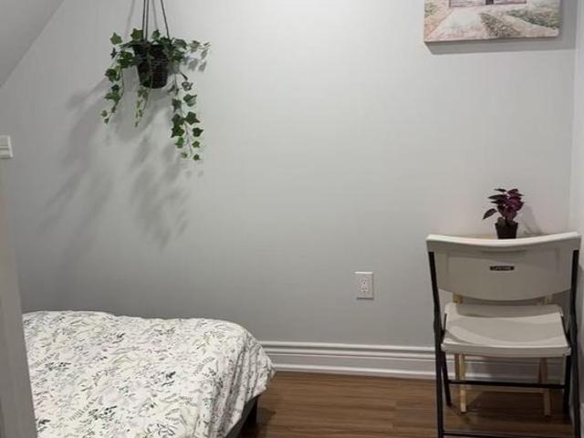 For Lease 2466 St Clair Avenue Unit# Bsmt 02, Toronto, Ontario