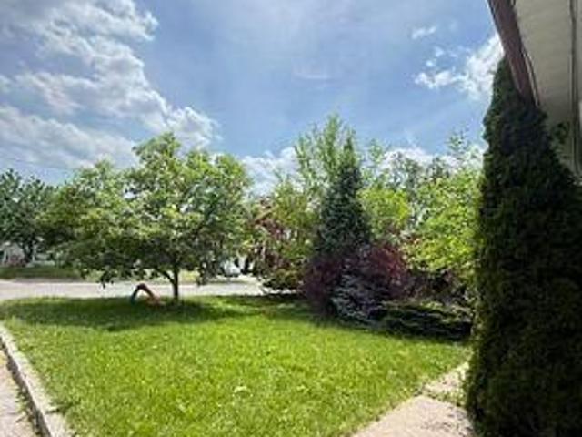 For Lease 256 Patricia Avenue Unit# Lower, Toronto, Ontario