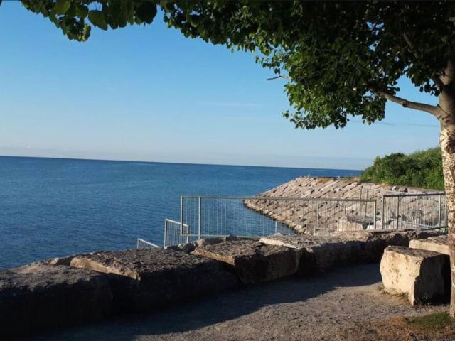 For Lease 329 Port Union Road Unit# Bsmt, Toronto, Ontario