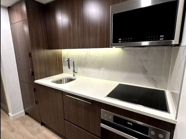 For Lease 38 Widmer Street Unit# 505, Toronto, Ontario