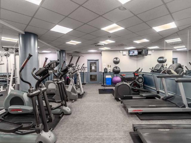 For Lease 44 St Joseph Street Unit# 2305, Toronto, Ontario