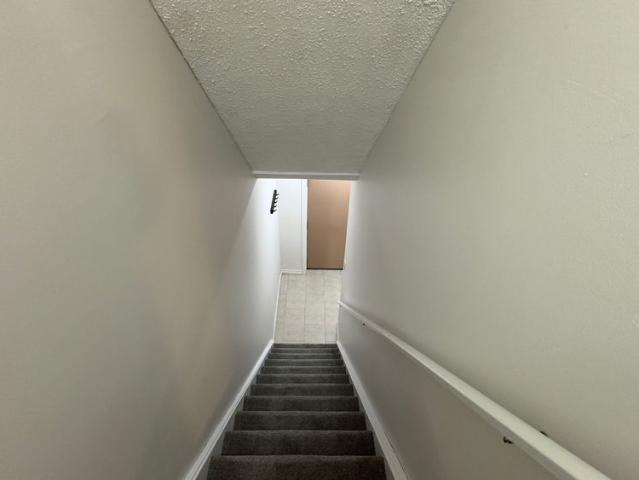 For Lease 457 Wilkins Street, London South, Ontario