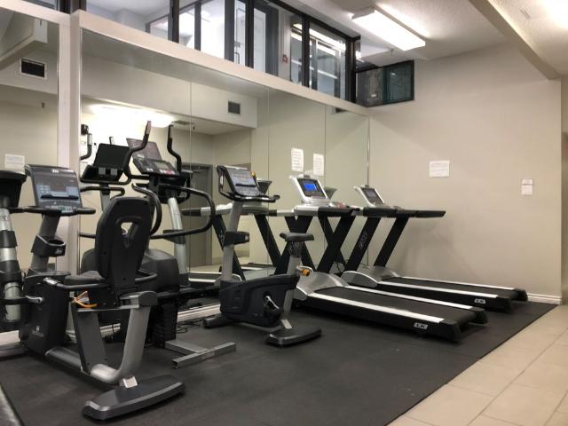 For Lease 49 Mccaul Street Unit# 463, Toronto, Ontario