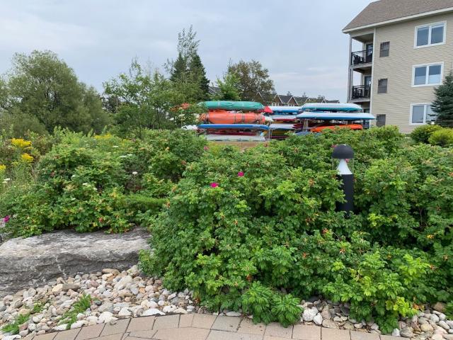 For Lease 4 Cove Court Unit# 102, Collingwood, Ontario
