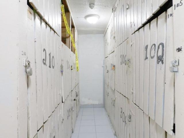For Lease 500 Gilbert Avenue Unit# 102, Toronto, Ontario