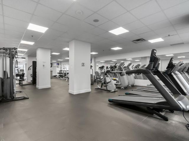 For Lease 50 John Street Unit# 618, Toronto, Ontario