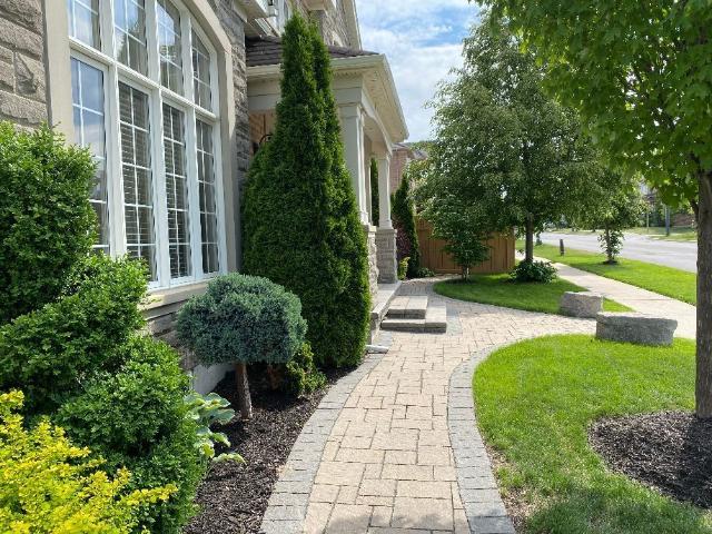 For Lease 5484 Freshwater Drive Unit# Basement, Mississauga, Ontario