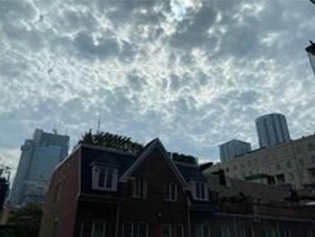 For Lease 560 Front Street Unit# 215, Toronto, Ontario