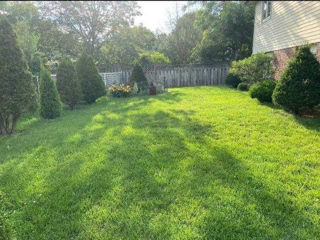 For Lease 583 Edinburgh Road Unit# Basement Rm, Guelph, Ontario