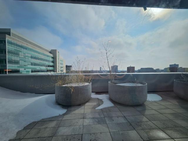 For Lease 60 Frederick Street Unit# 3413, Kitchener, Ontario