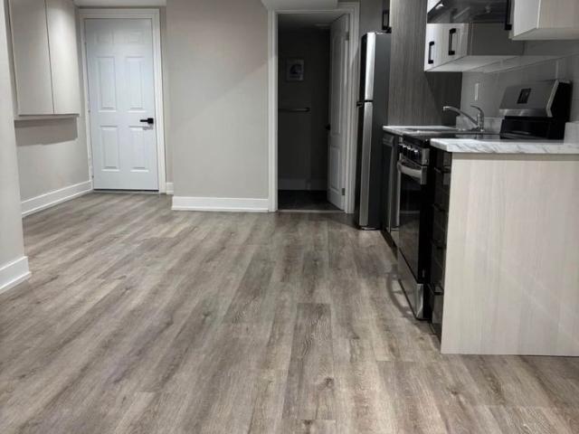 For Lease 60 Wood Rim Drive Unit# Basement, Richmond Hill, Ontario