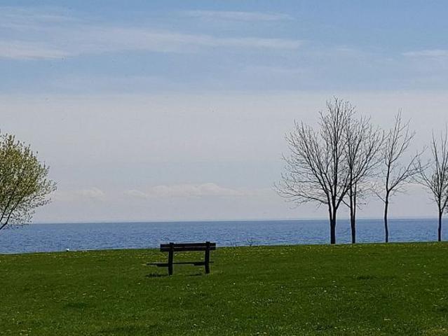 For Lease 78 Fifth Street Unit# 4, Toronto, Ontario