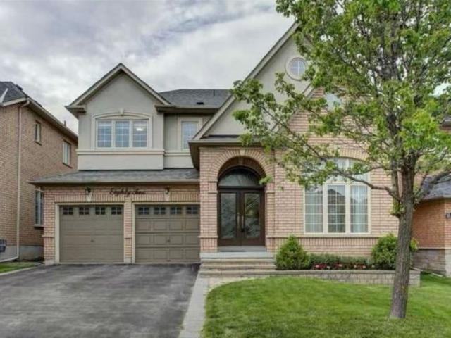 For Lease 82 Summeridge Drive Unit# Bdrm #1, Vaughan, Ontario
