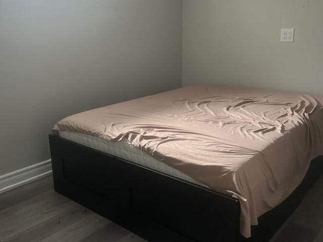 For Lease 83 Bimini Crescent Unit# Bsmt, Toronto, Ontario