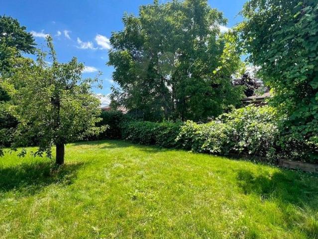 For Lease 93 CLARK Avenue Unit# main Floor, Markham, Ontario