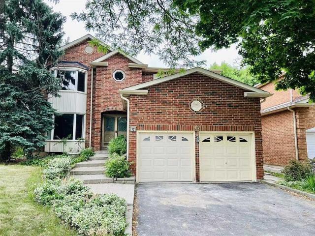 For Lease Bsmt 92 Fincham Avenue, Markham, Ontario