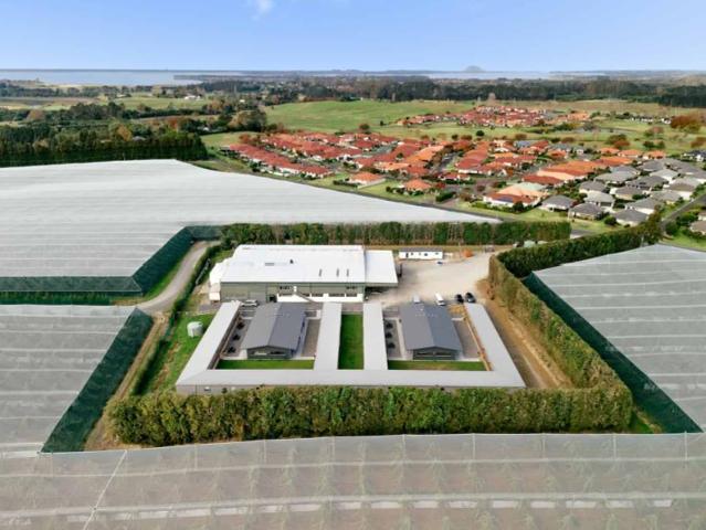 For sale 43 Sharp Road, Aongatete