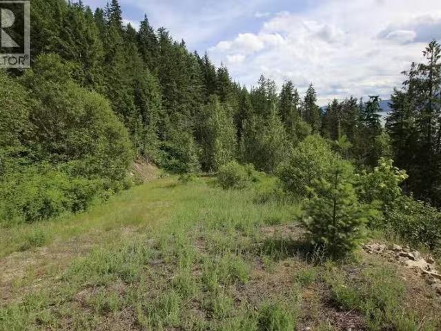 For sale: 5959 Highway 23, Nakusp, British Columbia V0G1R1 2.