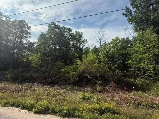For sale: 0 ROCKHAVEN ROAD, Marmora and Lake Marmora Ward, O.
