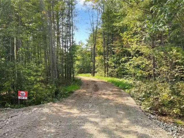 For sale: 1081 HAWK VALLEY ROAD, Algonquin Highlands Stanhope.