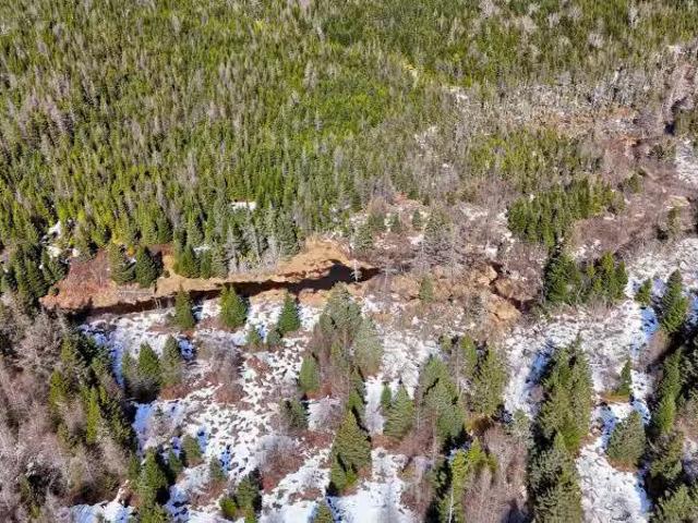 For sale: 139 Acres Shaws Road, Lewis Cove Road, Nova Scotia B.