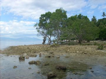 FOR SALE: Beach / Resort Davao del Sur >Samal