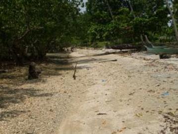 FOR SALE: Beach / Resort Davao del Sur >Samal