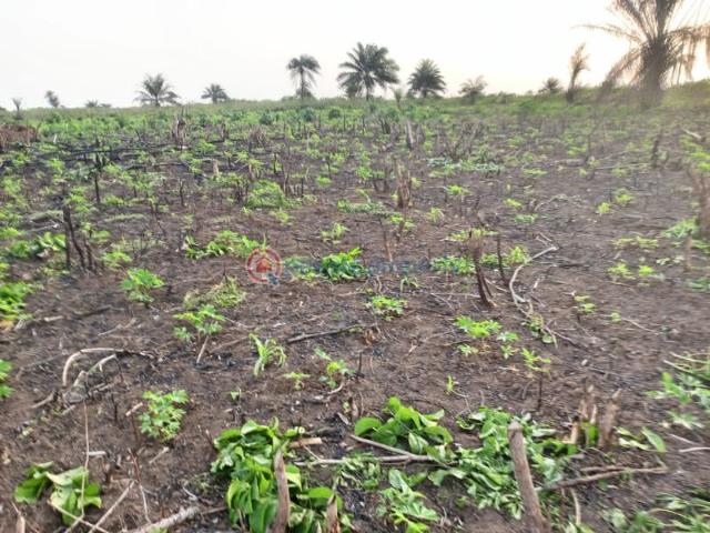 For sale: Commercial Land Greenwealth City Farmland Isiwo Few Minutes Drive From Epe Toll Gate Ijebu Ode Ogun PID: 8PBXXG | Private Property Nigeria