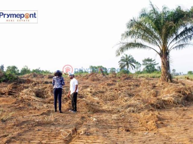 For sale: Commercial Land Port Harcourt Rivers PID: 3PBRLD | Private Property Nigeria