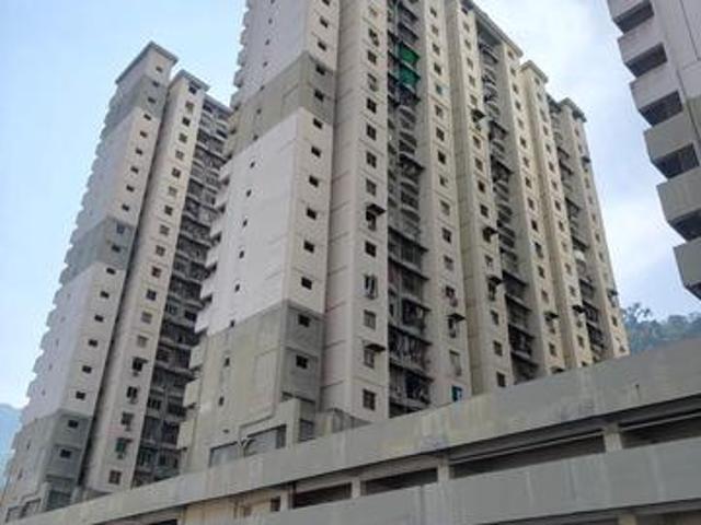 FOR SALE Fully Renovated Taman Terubong Indah