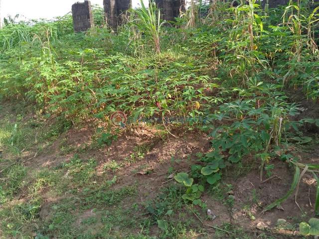 For sale: Land Ngor Okpala Directly Opposite Tony Chukwu's Manufacturing Company, Beside Zion Ministry Permanent Site Ngor Okpala Imo PID: 6PBAMP | Private Property Nigeria