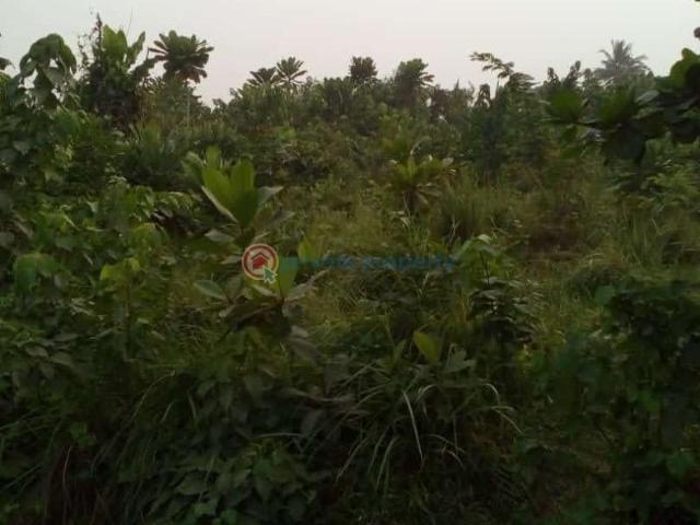 For sale: Land Owode Apa Road, Off Badagry Seme Expressway Badagry Lagos PID: 0PBBPC | Private Property Nigeria