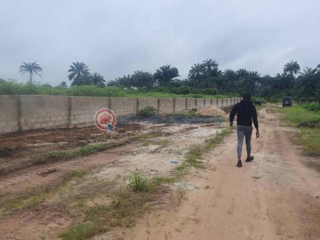 For sale: Land Ogbor Hill Aba, National Institute Of Nigerian Languages Aba Ultra Modern Mechanic Village Magic Fm Address Hotel Nigeria Television Authority nta Aba Christ The King Cathedral Umuahia Abia PID: 5PCCRR | Private Property Nigeria