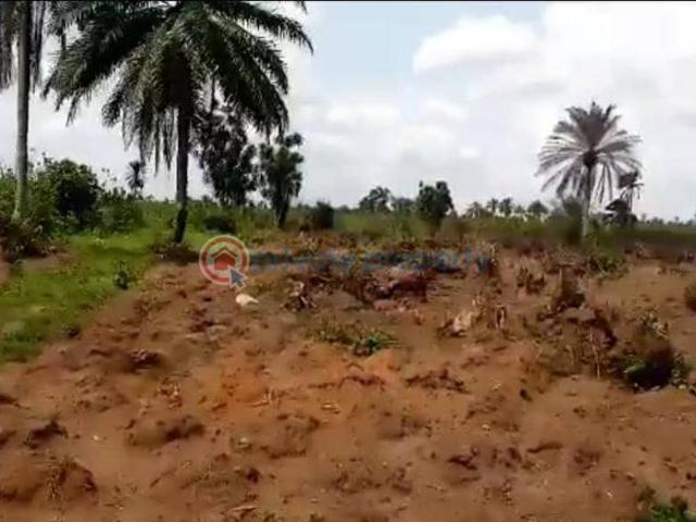 For sale: Land Ogbor Hills Aba South Abia PID: 5PAZRP | Private Property Nigeria