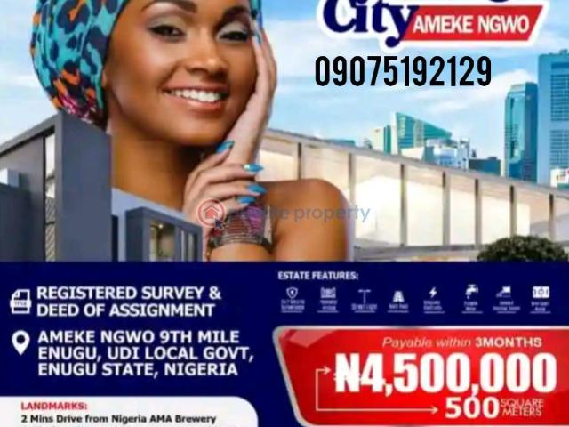 For sale: Land Amaeke Ngwo, Enugu, Udi Agwu Enugu PID: 2PAWWA | Private Property Nigeria