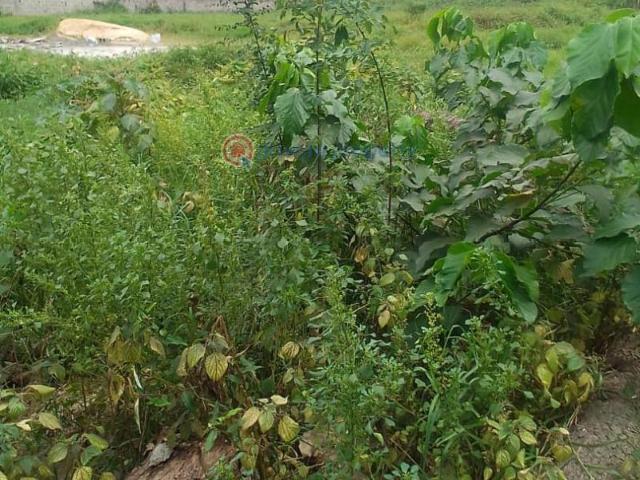 For sale: Land Prime Estate Onike, In Yaba, close To Unilag Onike Yaba Lagos PID: 8PACGL | Private Property Nigeria