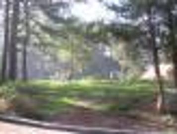 FOR SALE: Lot / Land / Farm Benguet >Baguio
