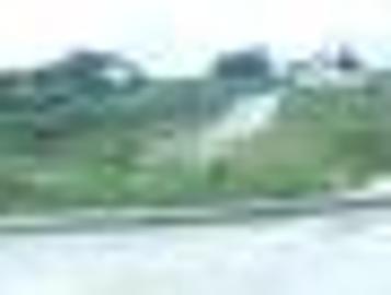 FOR SALE: Lot / Land / Farm Cavite