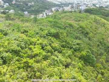 FOR SALE: Lot / Land / Farm Cebu >Cebu City